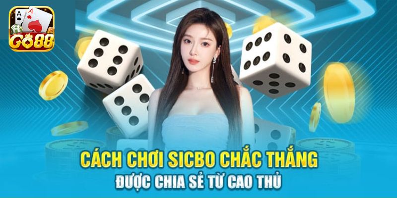 Tổng hợp chiến thuật đặt cược Sicbo dành cho newbie